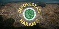 Fatwa haram MUI soal deforestasi dan pembakaran hutan