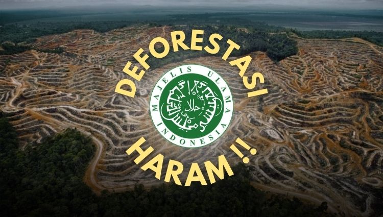 Fatwa haram MUI soal deforestasi dan pembakaran hutan